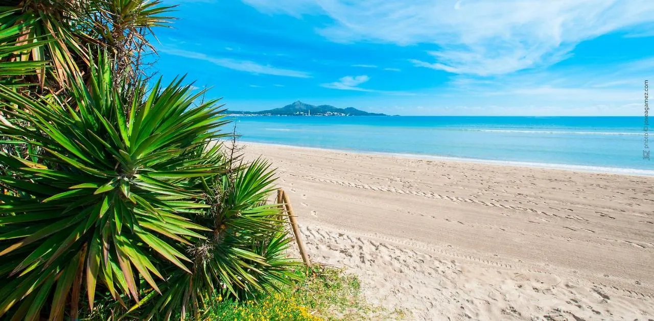 Apartment Can Tony Port de Alcudia  Spain